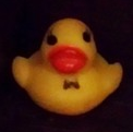 bigduck.png